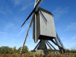 Wissinks Möl